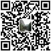 the qr code